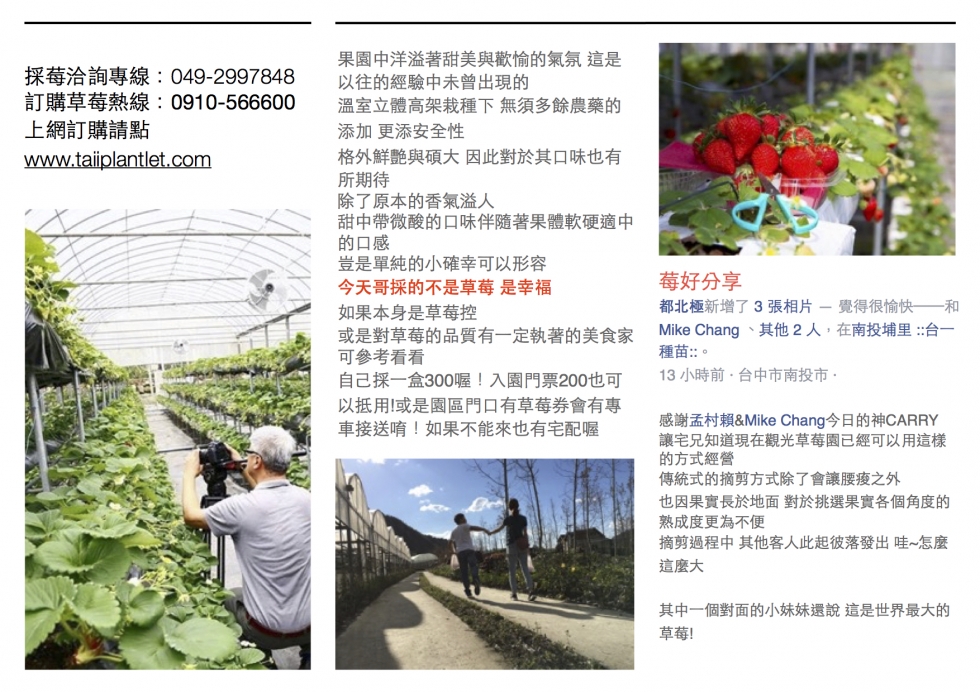 2015草莓文宣p2 2015草莓文宣p2