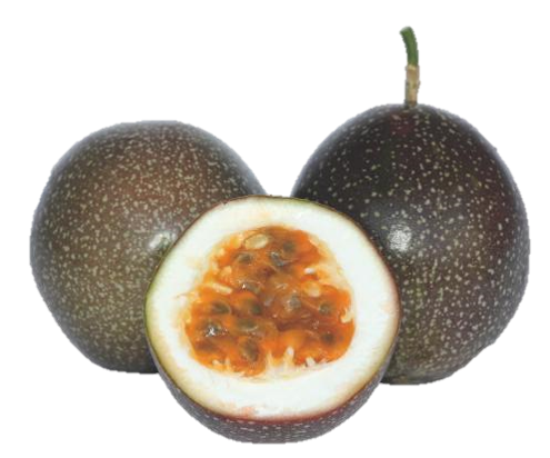 滿天星 - Starry passion fruit